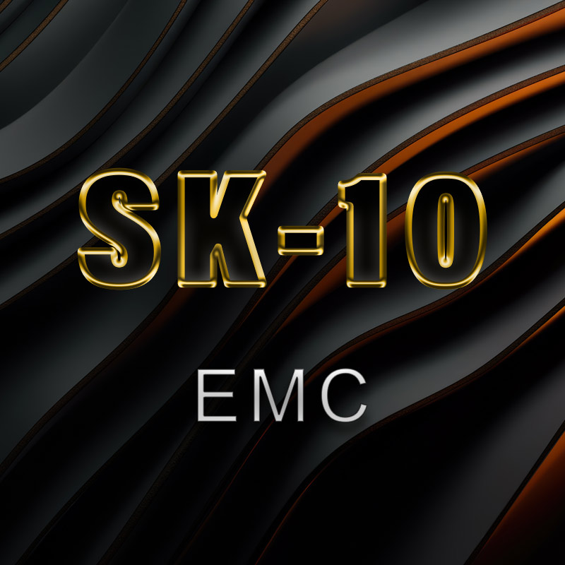 SK-10 High Precision  Micro Electronic Scale