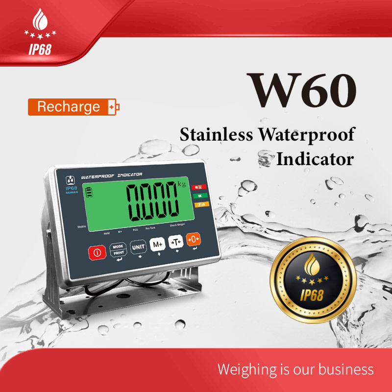 W60 Stainless Waterproof Indicator